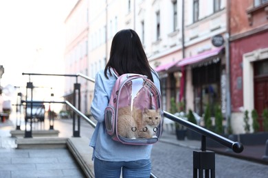 Photo of Woman with her cute cat in backpack carrier on city street, back view