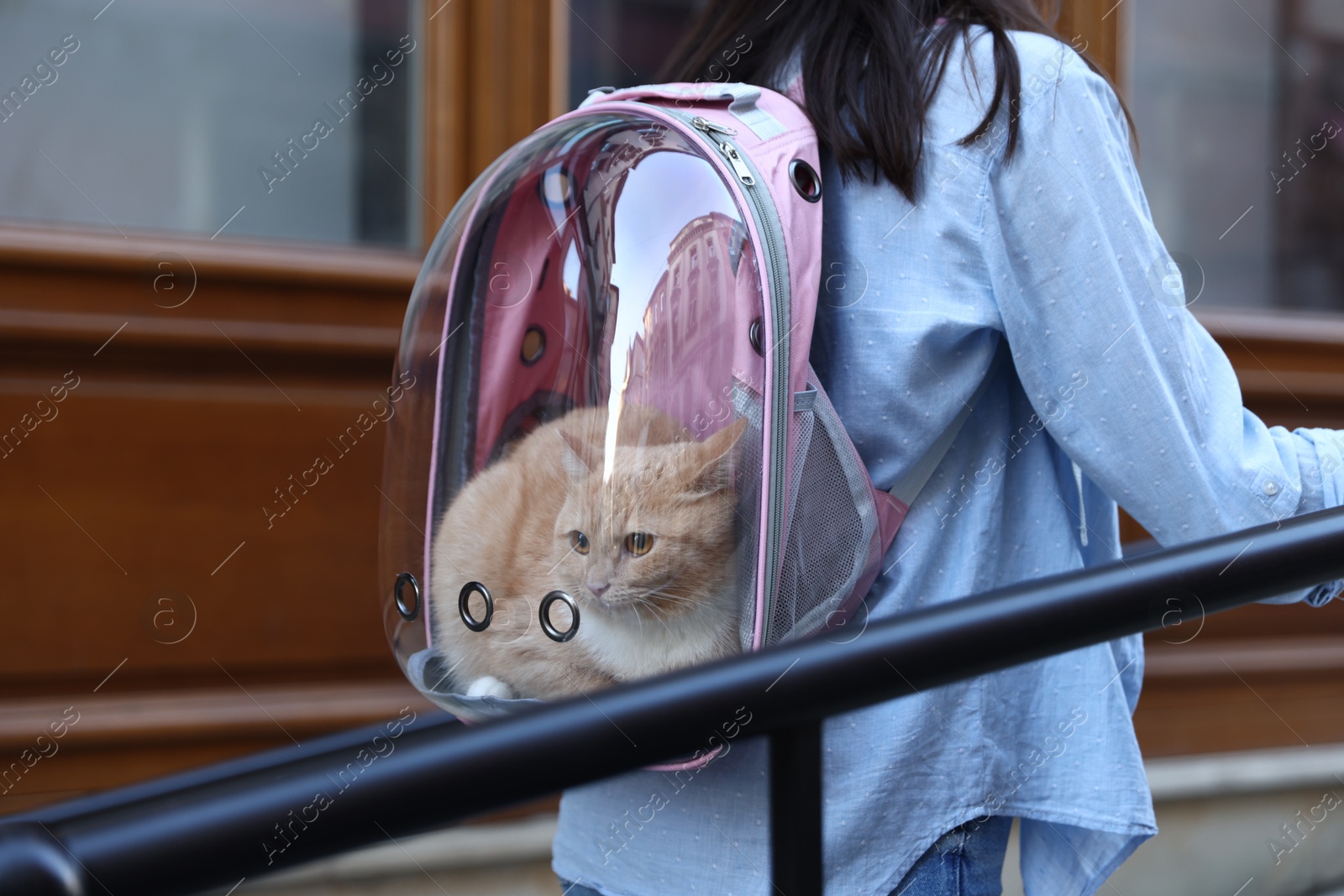 Photo of Woman with her cute cat in backpack carrier on city street, closeup