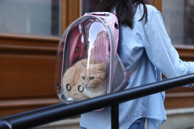 Photo of Woman with her cute cat in backpack carrier on city street, closeup