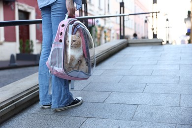 Photo of Woman with her cute cat in backpack carrier on city street, closeup. Space for text
