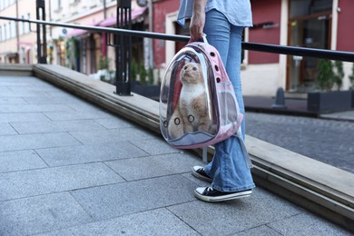Photo of Woman with her cute cat in backpack carrier on city street, closeup. Space for text