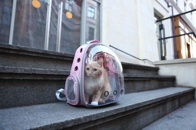 Photo of Cute cat in backpack carrier on stairs outdoors