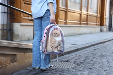 Photo of Woman with her cute cat in backpack carrier on city street, closeup. Space for text