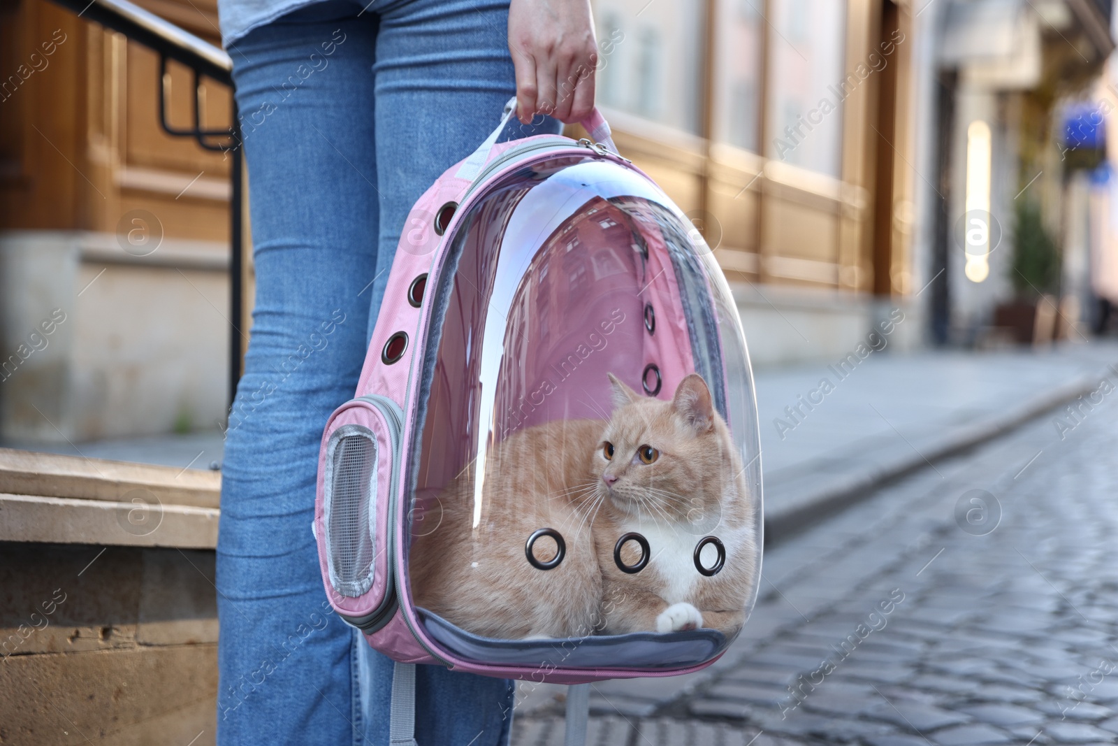 Photo of Woman with her cute cat in backpack carrier on city street, closeup