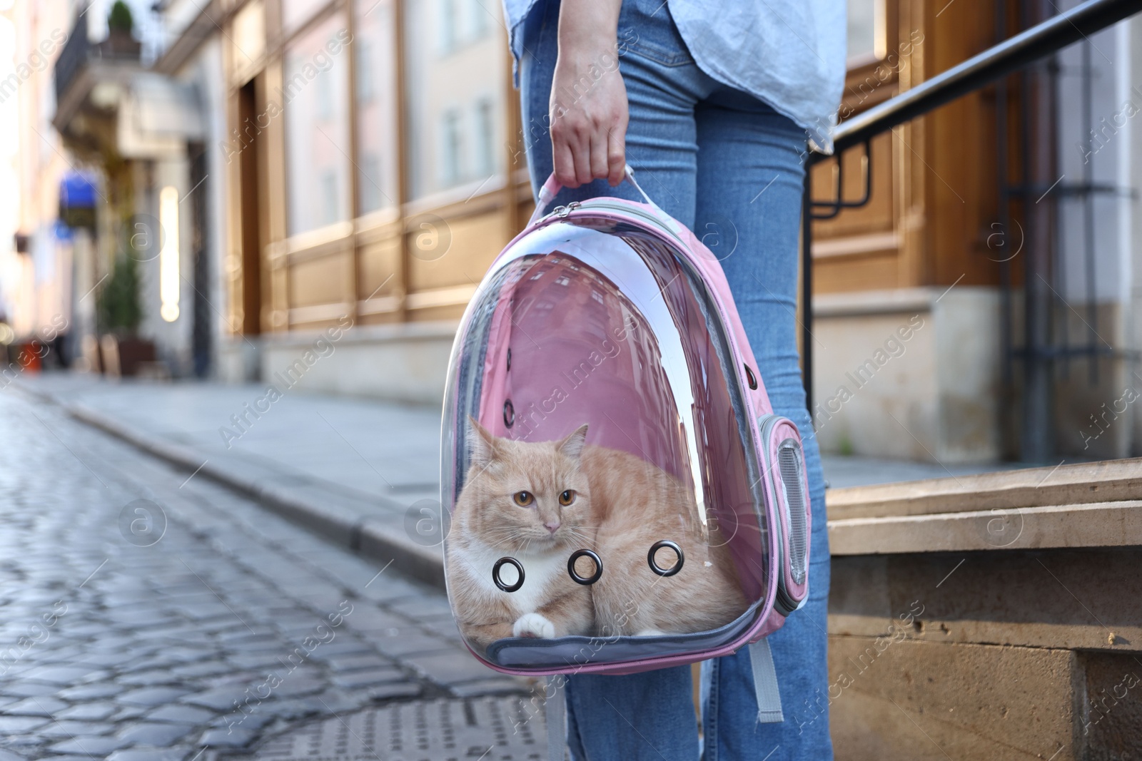 Woman with her cute cat in backpack carrier on city street, closeup Photo of Woman with her cute cat in backpack carrier on city street, closeup