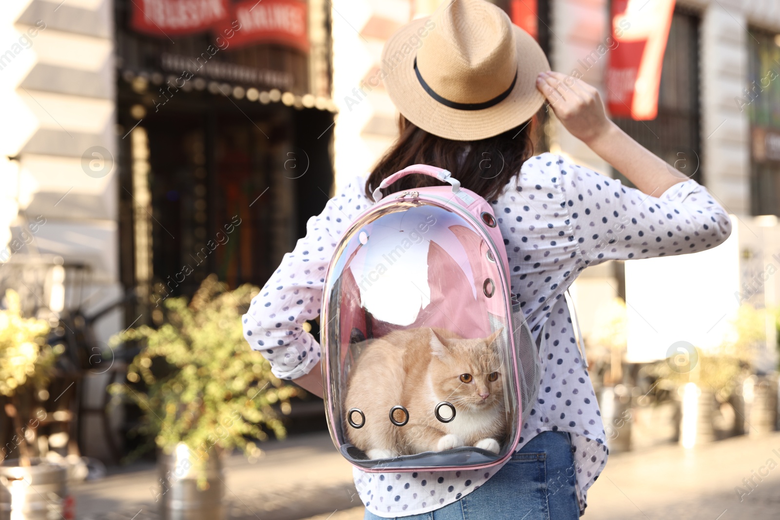 Woman with her cute cat in backpack carrier on city street, back view Photo of Woman with her cute cat in backpack carrier on city street, back view