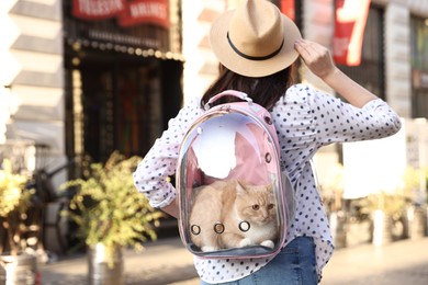 Photo of Woman with her cute cat in backpack carrier on city street, back view