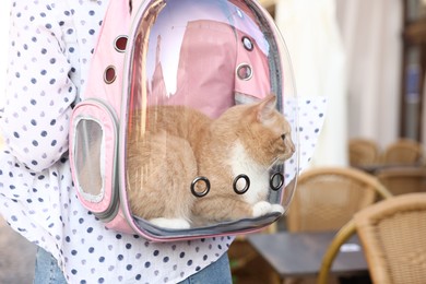 Photo of Woman with her cute cat in backpack carrier on city street, closeup