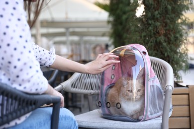 Photo of Woman with her cute cat in backpack carrier at cafe outdoors, closeup