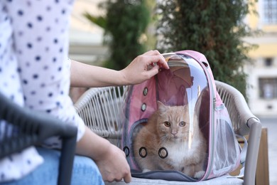 Photo of Woman with her cute cat in backpack carrier at cafe outdoors, closeup