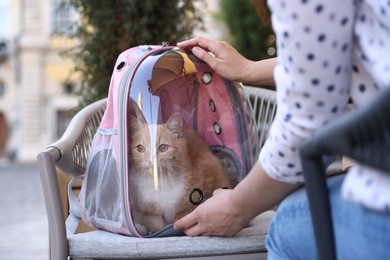 Photo of Woman with her cute cat in backpack carrier at cafe outdoors, closeup