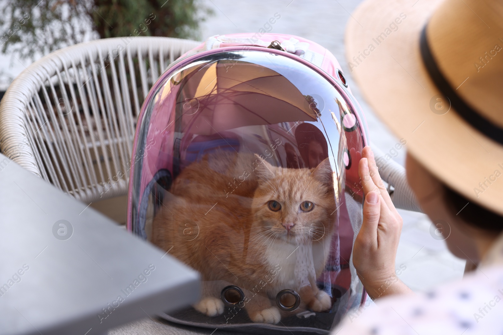 Woman with her cute cat in backpack carrier at cafe outdoors, closeup Photo of Woman with her cute cat in backpack carrier at cafe outdoors, closeup