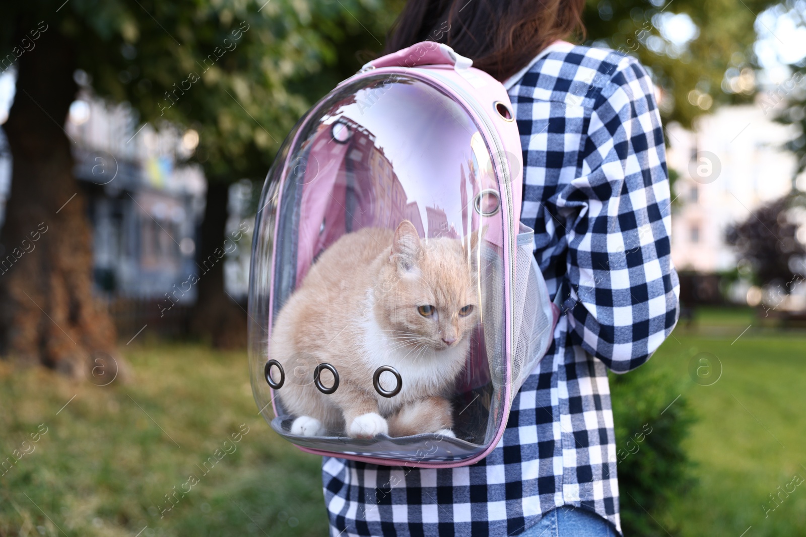 Photo of Woman with her cute cat in backpack carrier at park, closeup