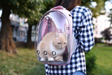 Photo of Woman with her cute cat in backpack carrier at park, closeup
