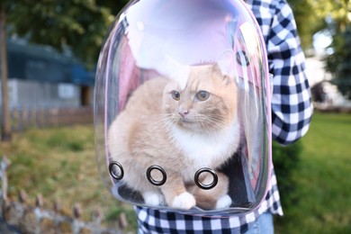 Photo of Woman with her cute cat in backpack carrier at park, closeup
