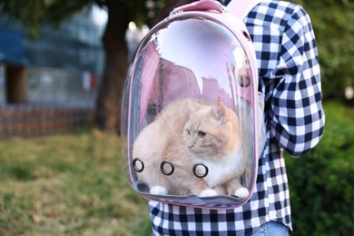 Photo of Woman with her cute cat in backpack carrier at park, closeup