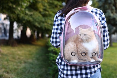 Photo of Woman with her cute cat in backpack carrier at park, closeup
