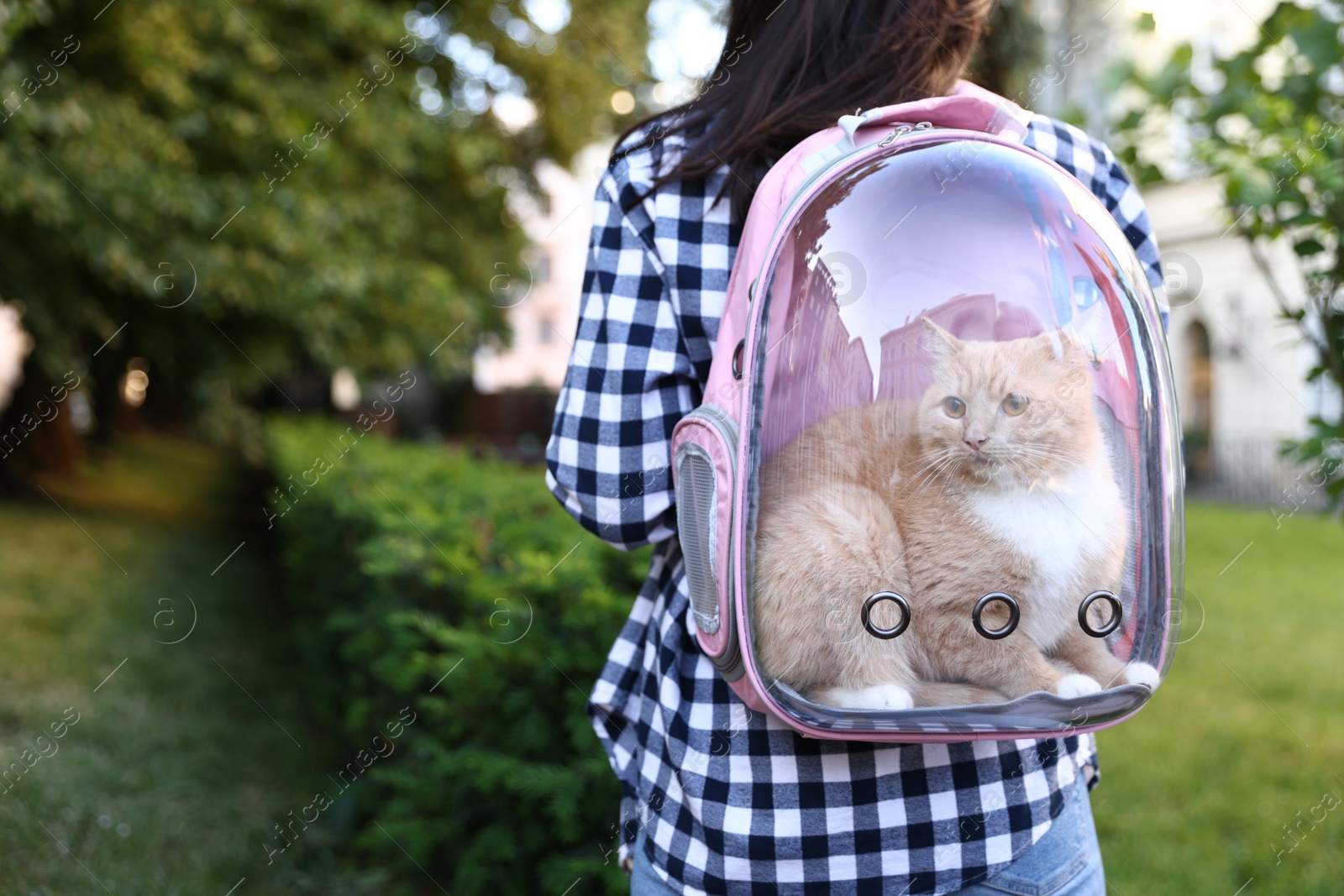 Photo of Woman with her cute cat in backpack carrier at park, closeup