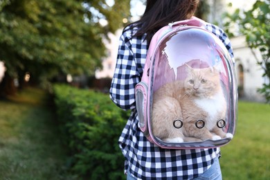Photo of Woman with her cute cat in backpack carrier at park, closeup