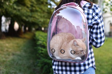 Photo of Woman with her cute cat in backpack carrier at park, closeup