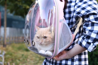 Photo of Woman with her cute cat in backpack carrier at park, closeup