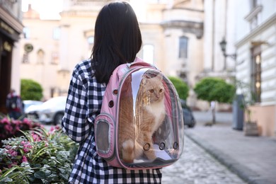 Photo of Woman with her cute cat in backpack carrier on city street, back view