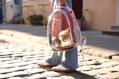 Photo of Woman with her cute cat in backpack carrier on city street, closeup
