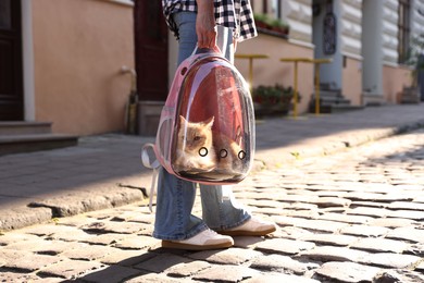Photo of Woman with her cute cat in backpack carrier on city street, closeup