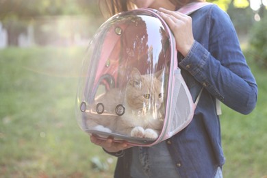 Photo of Woman with her cute cat in backpack carrier at park, closeup