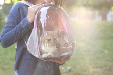 Photo of Woman with her cute cat in backpack carrier at park, closeup