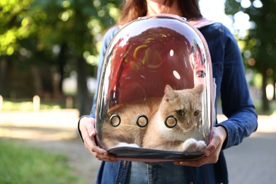 Photo of Woman with her cute cat in backpack carrier at park, closeup