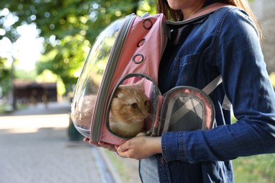 Photo of Woman with her cute cat in backpack carrier at park, closeup