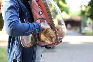 Photo of Woman with her cute cat in backpack carrier at park, closeup