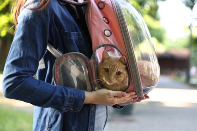Photo of Woman with her cute cat in backpack carrier at park, closeup