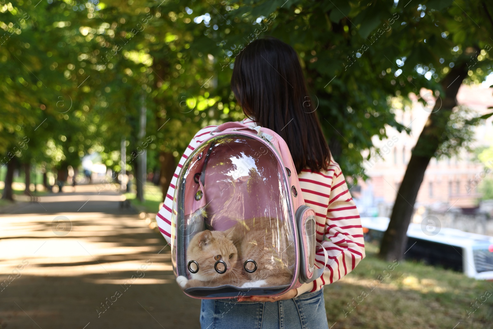 Photo of Woman with her cute cat in backpack carrier at park, back view