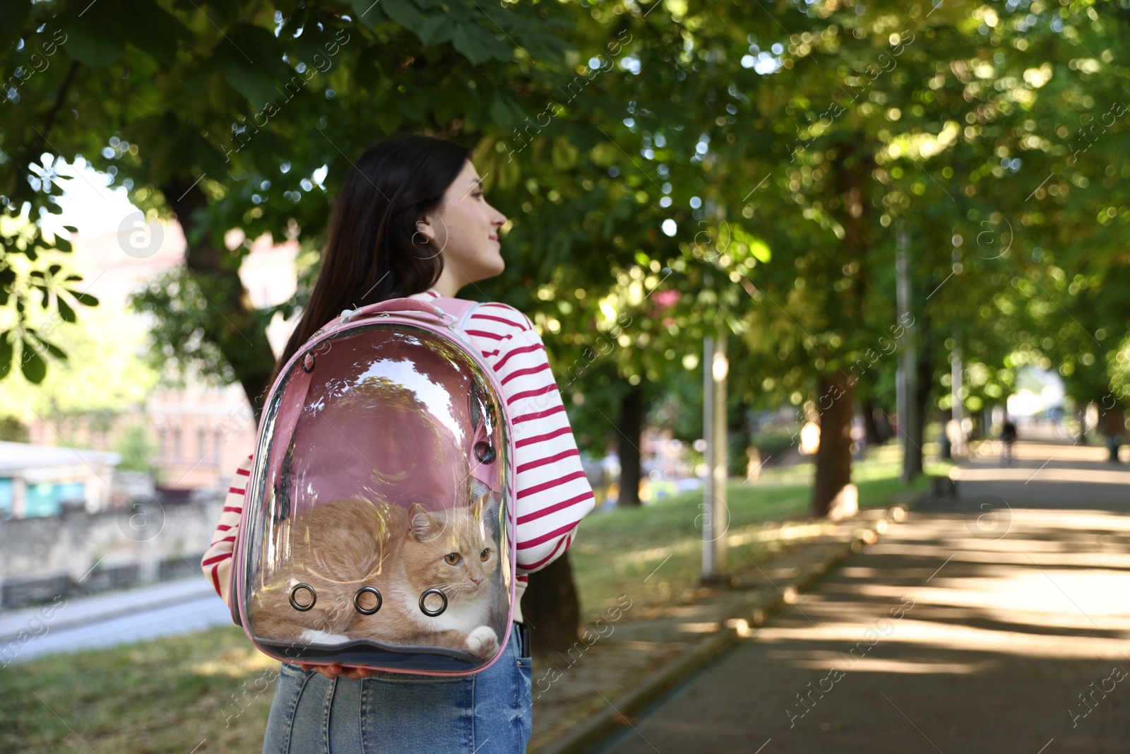 Woman with her cute cat in backpack carrier at park, back view. Space for text Photo of Woman with her cute cat in backpack carrier at park, back view. Space for text
