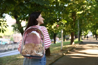 Photo of Woman with her cute cat in backpack carrier at park, back view. Space for text