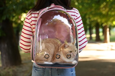 Photo of Woman with her cute cat in backpack carrier at park, closeup