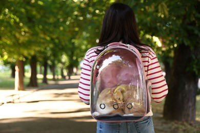 Photo of Woman with her cute cat in backpack carrier at park, back view. Space for text