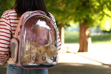 Photo of Woman with her cute cat in backpack carrier at park, closeup. Space for text