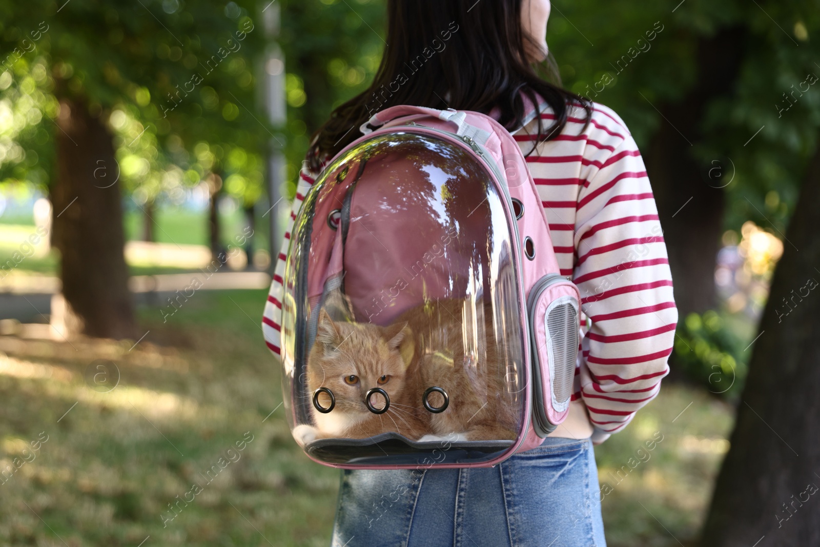 Photo of Woman with her cute cat in backpack carrier at park, closeup