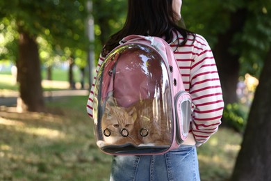 Photo of Woman with her cute cat in backpack carrier at park, closeup