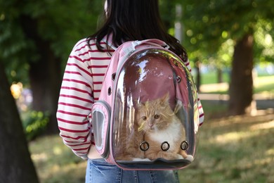 Photo of Woman with her cute cat in backpack carrier at park, closeup
