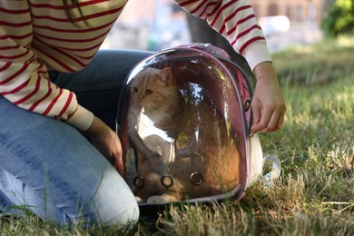 Photo of Woman with her cute cat in backpack carrier at park, closeup
