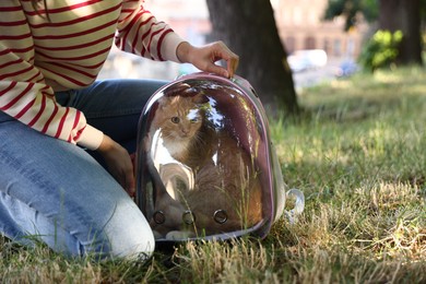 Photo of Woman with her cute cat in backpack carrier at park, closeup