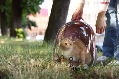 Photo of Woman with her cute cat in backpack carrier at park, closeup. Space for text
