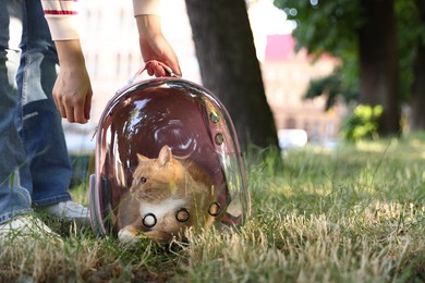 Photo of Woman with her cute cat in backpack carrier at park, closeup. Space for text