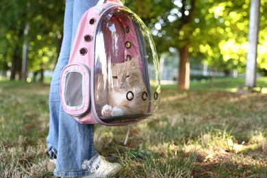Photo of Woman with her cute cat in backpack carrier at park, closeup
