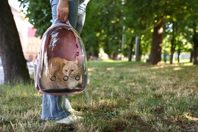 Photo of Woman with her cute cat in backpack carrier at park, closeup. Space for text