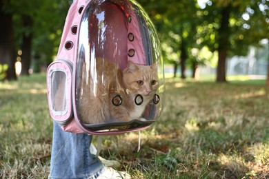 Photo of Woman with her cute cat in backpack carrier at park, closeup